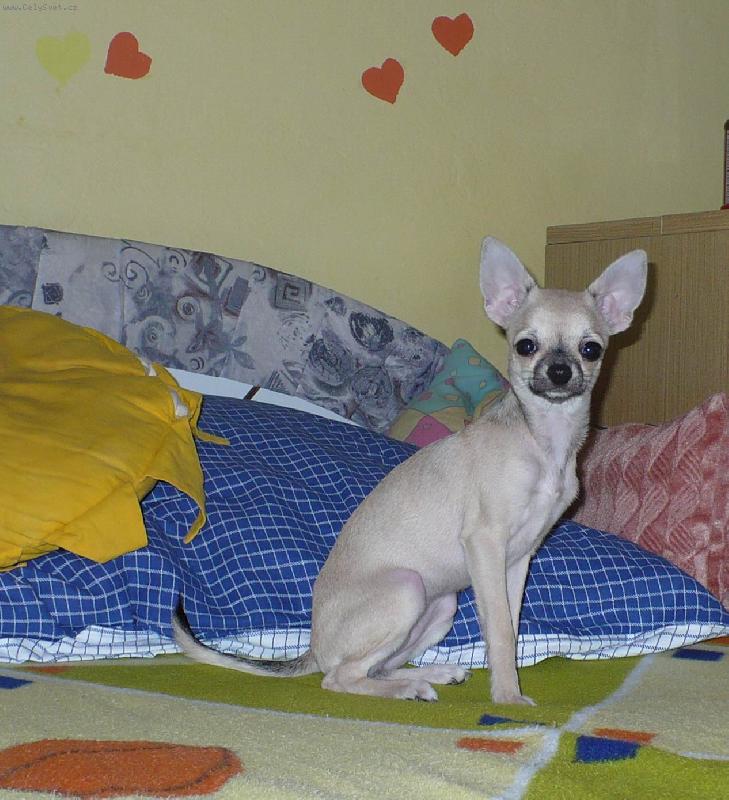 Foto: Deninka-Deny